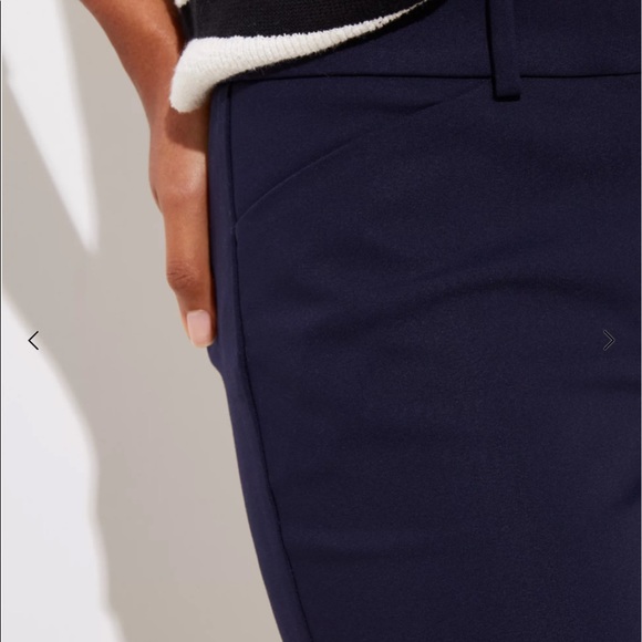 Ann Taylor LOFT Skinny Ankle Pants in Navy - Picture 2 of 9